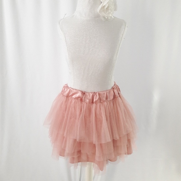 Wet Seal Dresses & Skirts - Blush Rose Pink Tulle Mini Skirt
